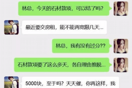 向阳债务清欠服务